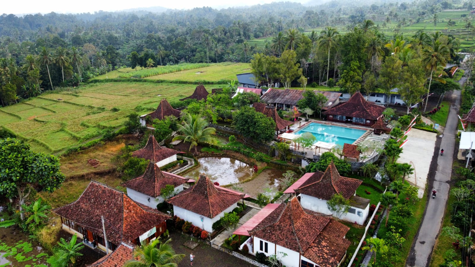 Traditional Villas in the paddy fields